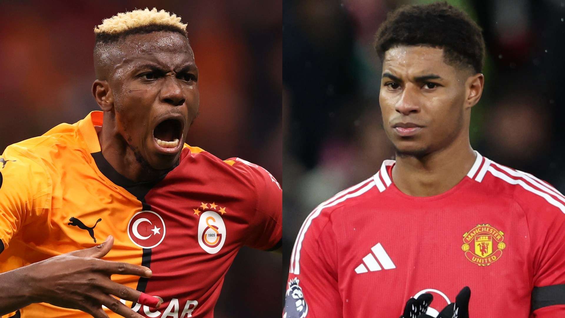 的人道主义 的人道主义